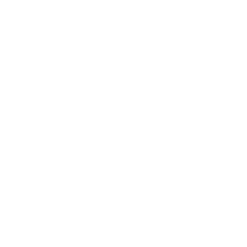 Agency Flow